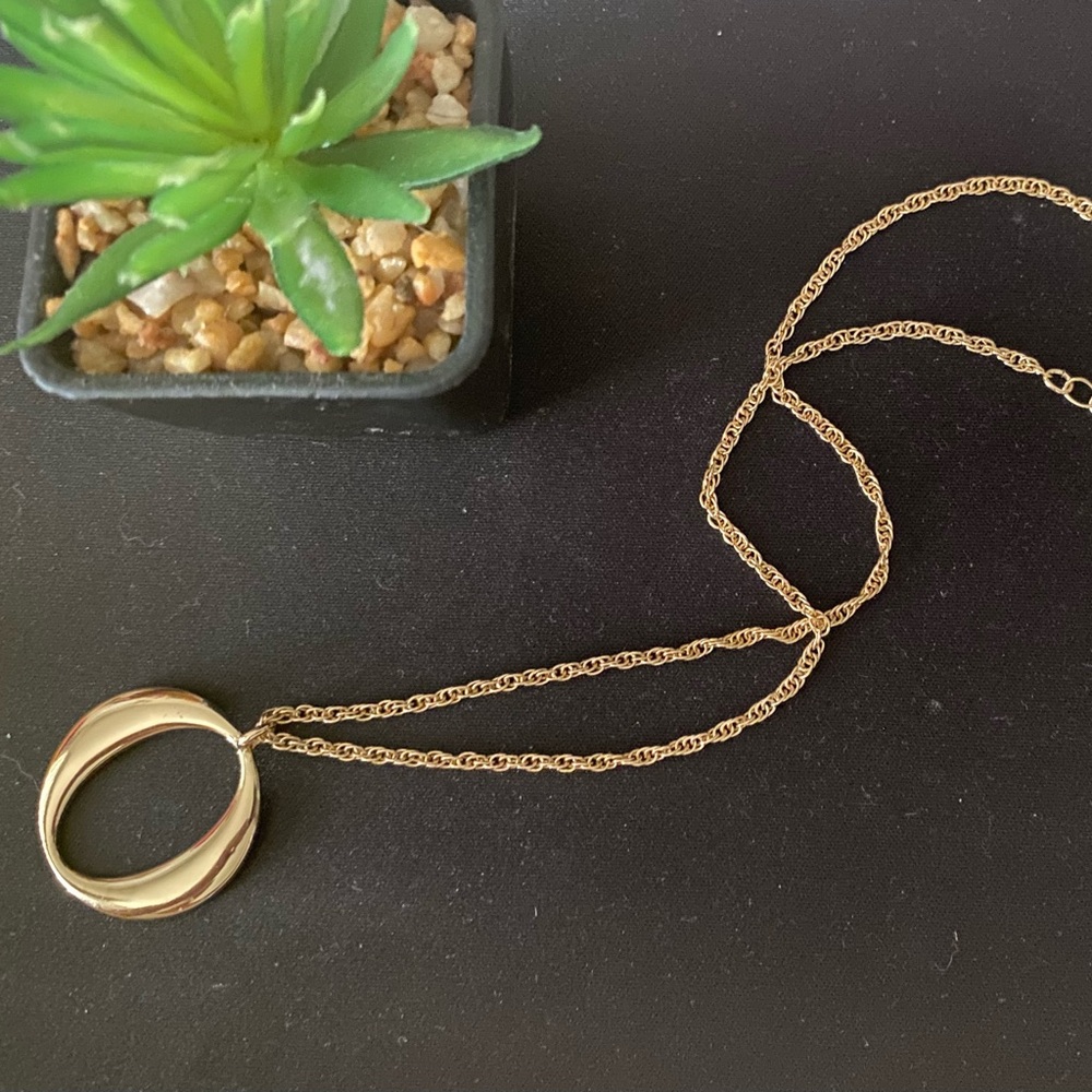 Hoop Necklace